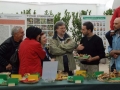 07 VISITA GUIDATA